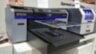 Epson SureColor SC-F2100 (5 цветов)