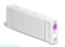 Magenta C13T725300