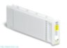 Yellow C13T725400